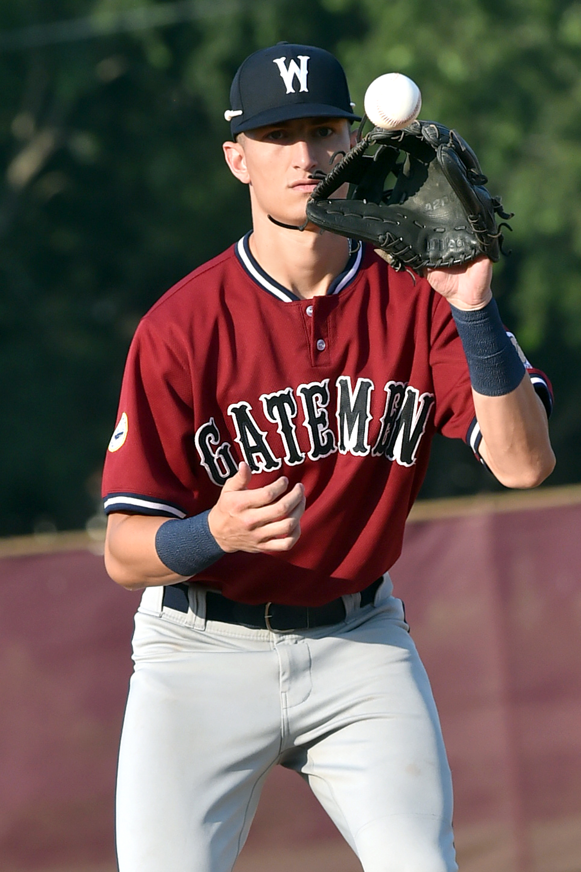 Cape Cod Baseball League: Weekly Season News