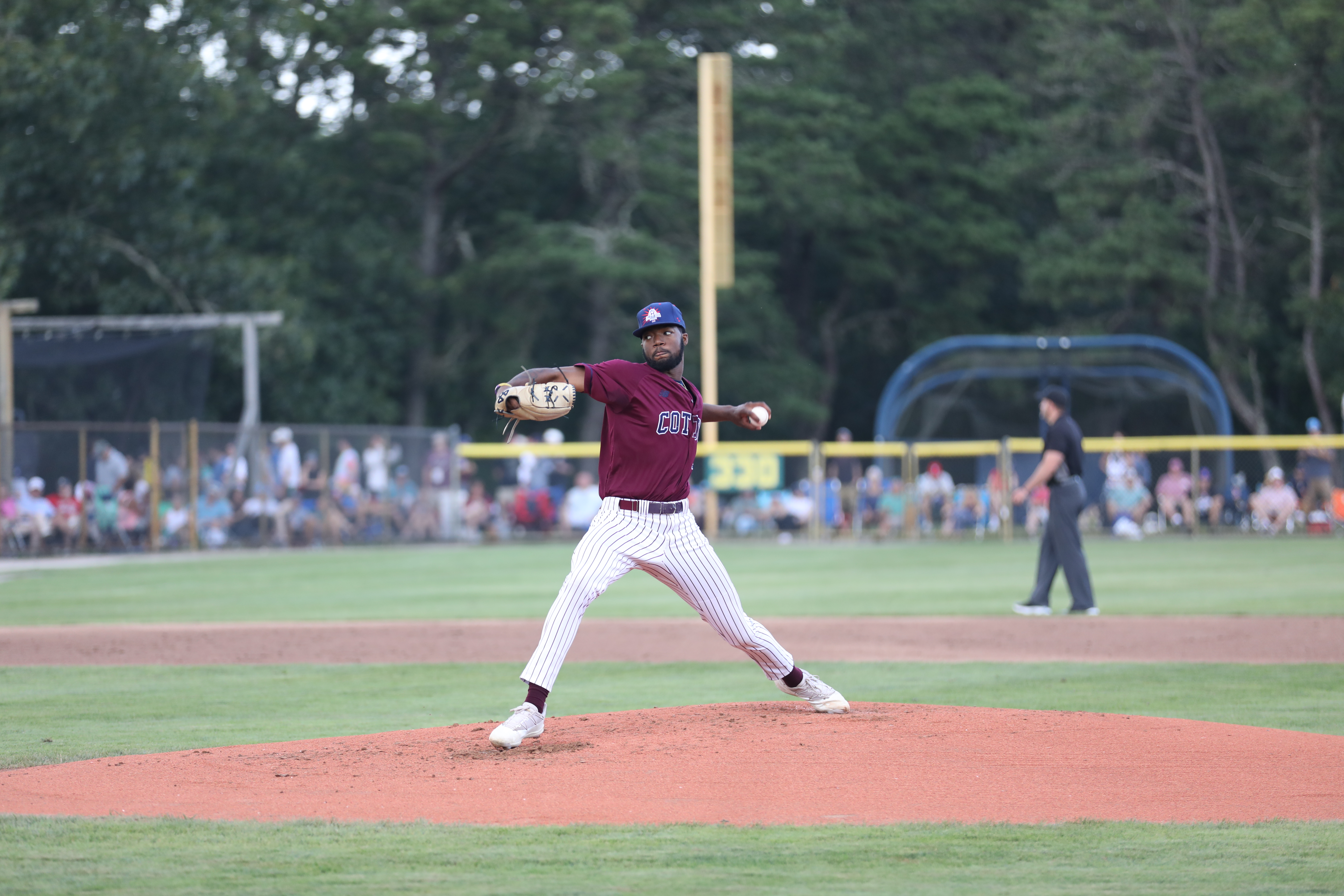 Cape Cod Baseball League: Weekly Season News