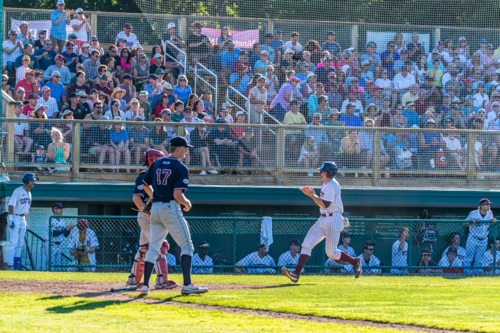 Cape Cod Baseball League: News