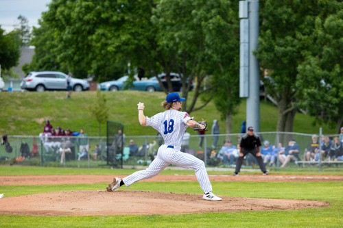 Cape Cod Baseball League: News